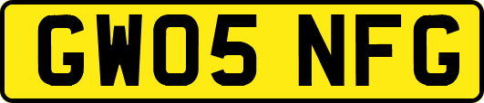 GW05NFG