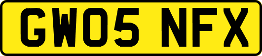 GW05NFX
