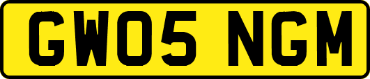 GW05NGM