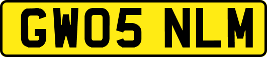 GW05NLM