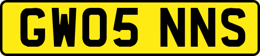 GW05NNS