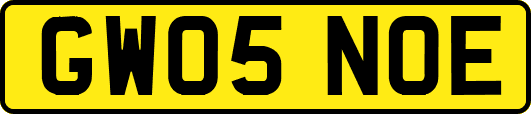 GW05NOE