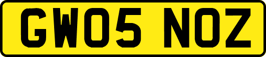 GW05NOZ