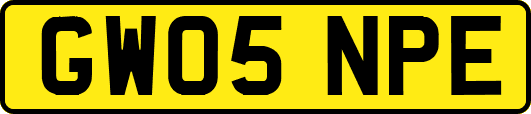 GW05NPE