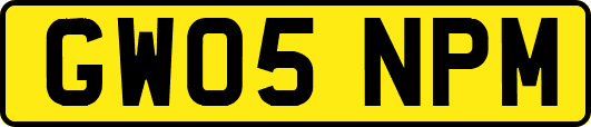GW05NPM