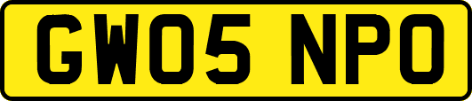 GW05NPO