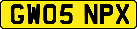 GW05NPX