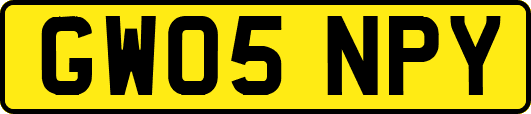 GW05NPY