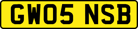 GW05NSB