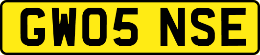 GW05NSE