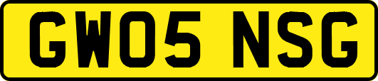 GW05NSG