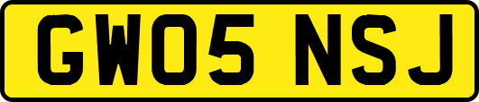 GW05NSJ
