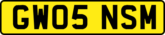 GW05NSM