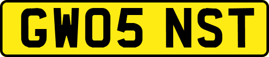 GW05NST