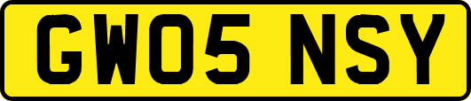 GW05NSY