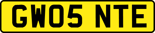 GW05NTE