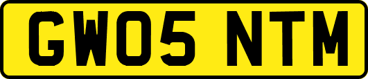 GW05NTM