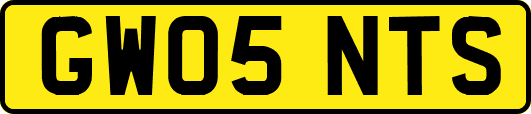 GW05NTS