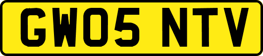 GW05NTV