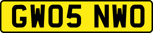 GW05NWO