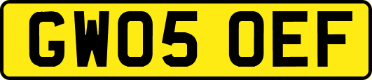 GW05OEF