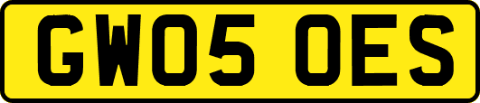 GW05OES