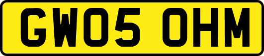 GW05OHM