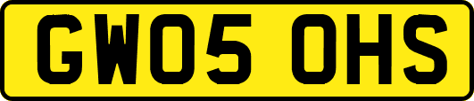 GW05OHS
