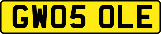 GW05OLE