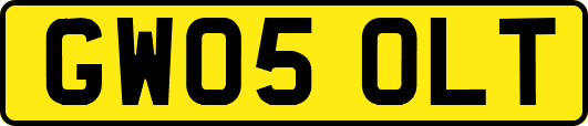 GW05OLT