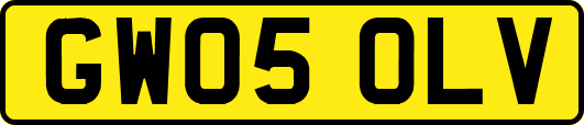 GW05OLV