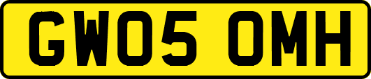 GW05OMH