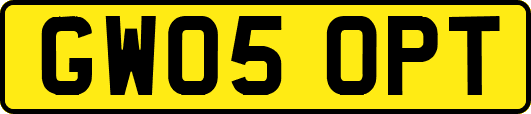 GW05OPT