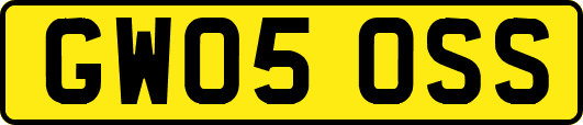 GW05OSS