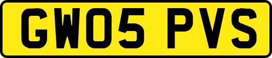 GW05PVS