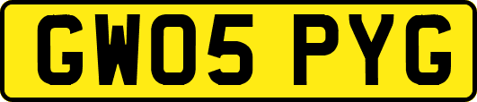 GW05PYG
