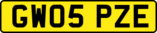 GW05PZE