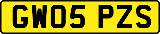 GW05PZS