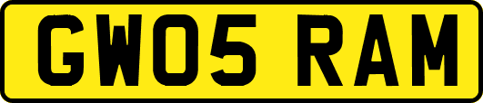 GW05RAM