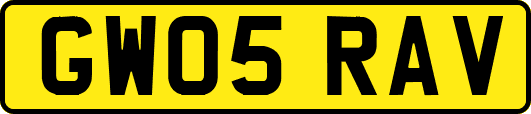 GW05RAV