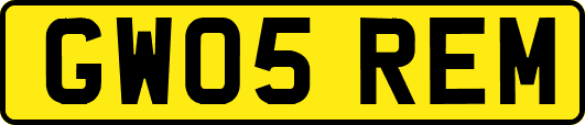 GW05REM