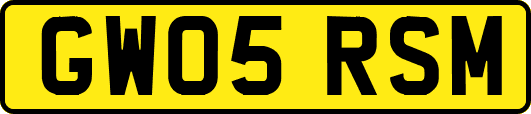 GW05RSM