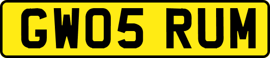 GW05RUM
