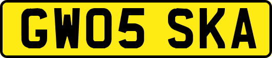 GW05SKA