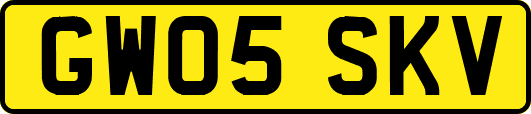 GW05SKV