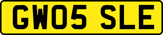 GW05SLE
