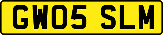GW05SLM