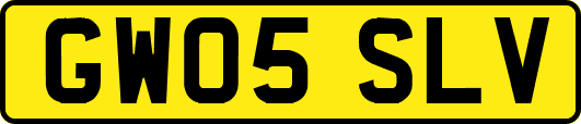 GW05SLV