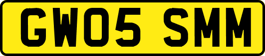 GW05SMM