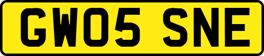 GW05SNE